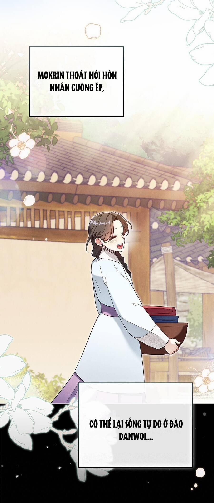 Mokrin 35.2 trang 15