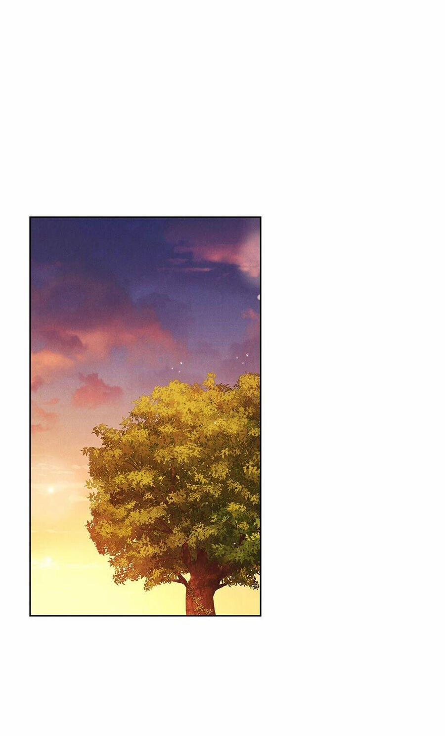 Mokrin 37.2 trang 26