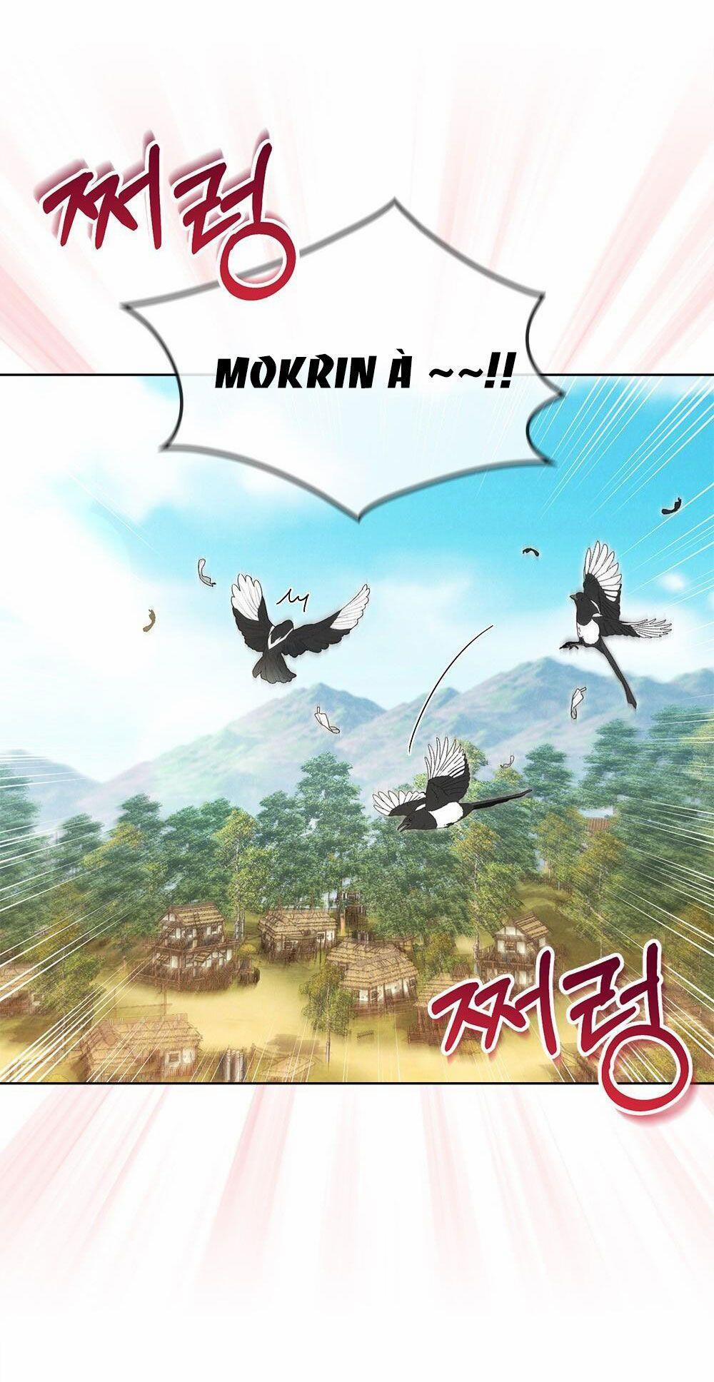 Mokrin 7.1 trang 1