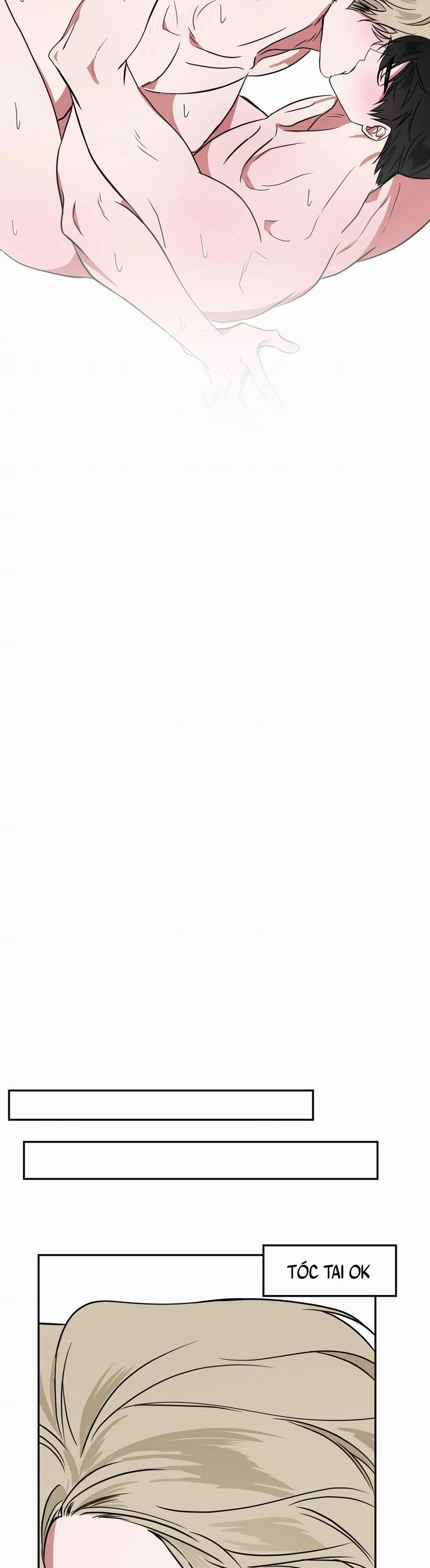 MÓN QUÀ BẤT NGỜ 10 trang 15