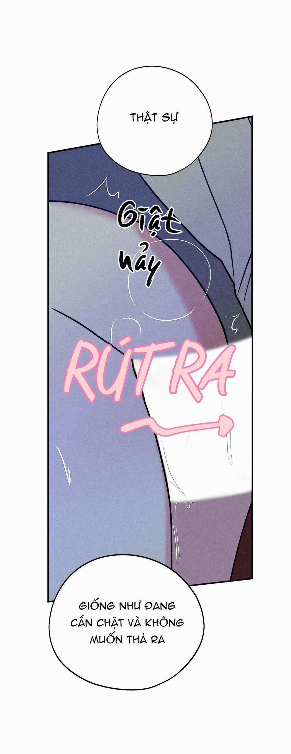 Món Quà Dành Cho Kẻ Ngạo Mạn 35 trang 28