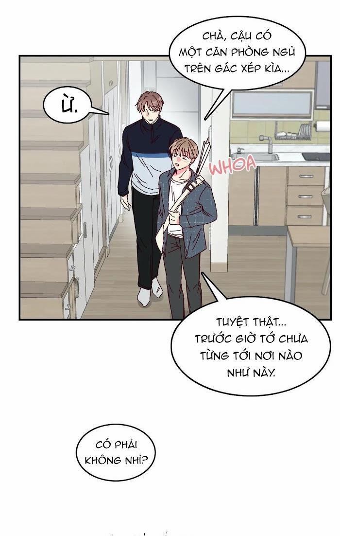 Món Tráng Miệng Của Sếp Tổng 15.5 trang 1