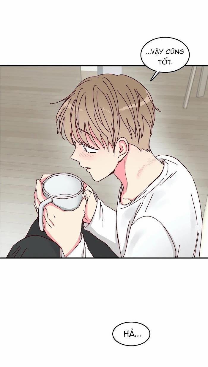 Món Tráng Miệng Của Sếp Tổng 15.5 trang 12