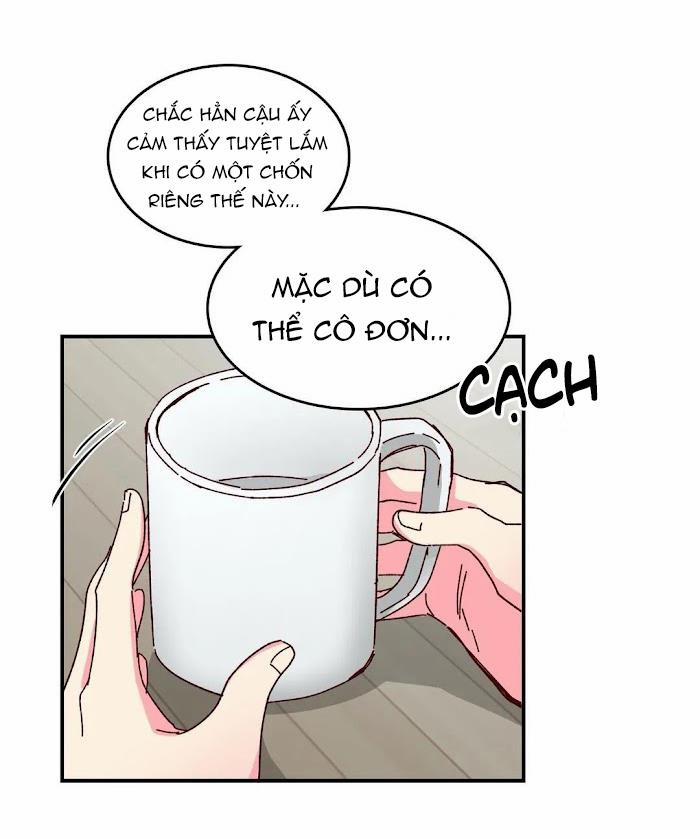 Món Tráng Miệng Của Sếp Tổng 15.5 trang 19