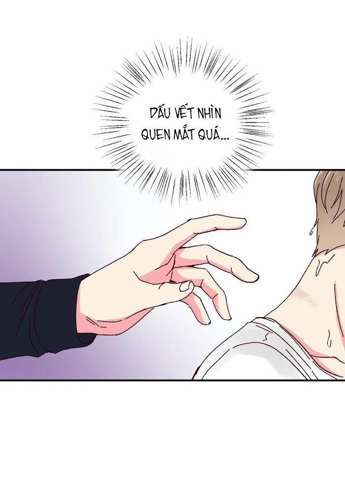 Món Tráng Miệng Của Sếp Tổng 15.5 trang 7