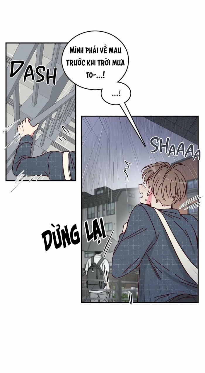 Món Tráng Miệng Của Sếp Tổng 15 trang 17