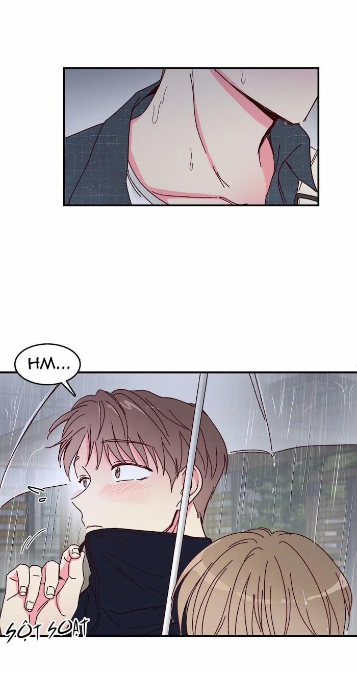 Món Tráng Miệng Của Sếp Tổng 15 trang 24