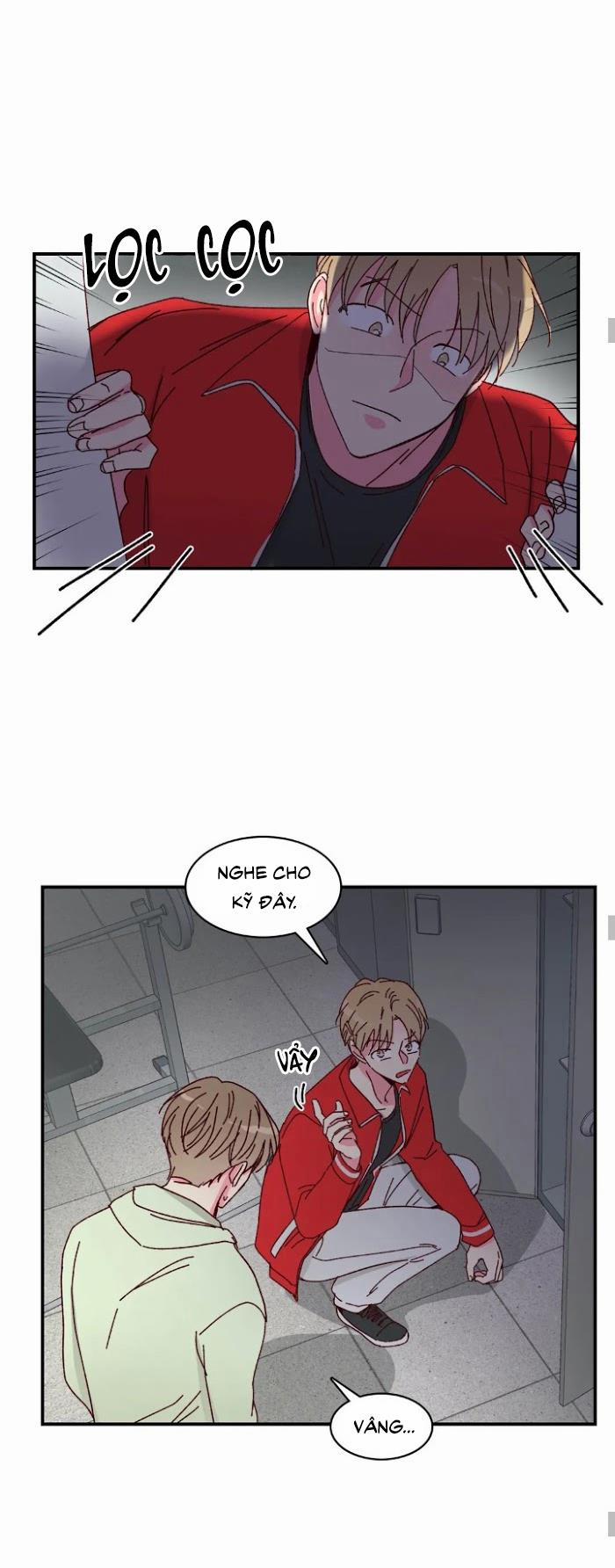 Món Tráng Miệng Của Sếp Tổng 17 trang 7