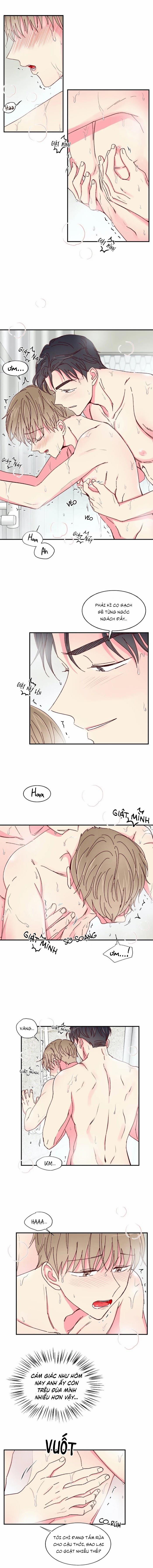 Món Tráng Miệng Của Sếp Tổng 18 trang 0