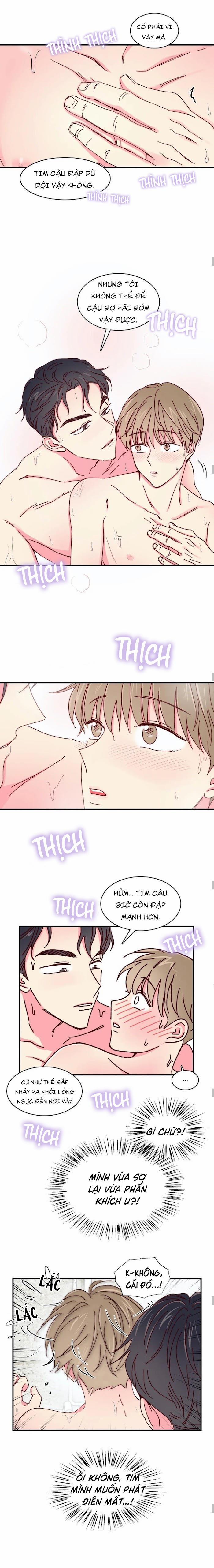 Món Tráng Miệng Của Sếp Tổng 18 trang 2