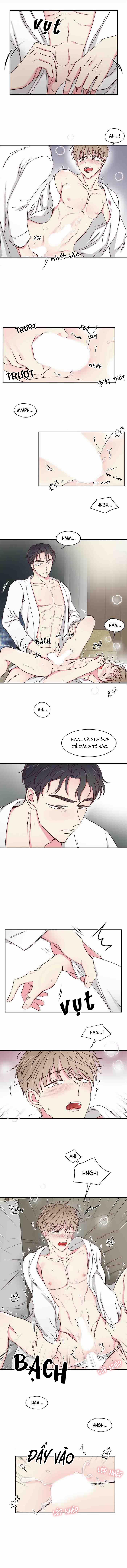 Món Tráng Miệng Của Sếp Tổng 19 trang 4