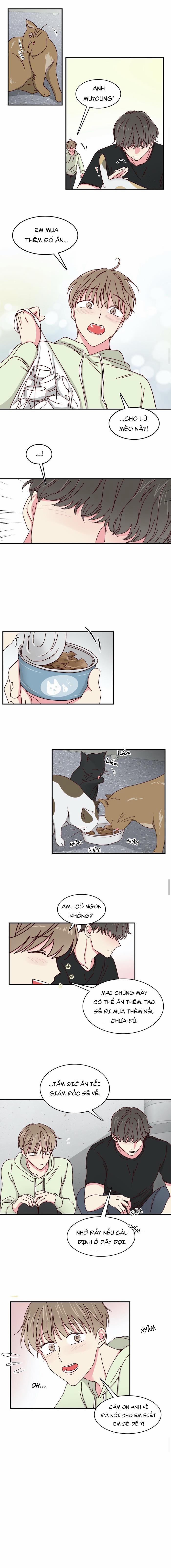 Món Tráng Miệng Của Sếp Tổng 22.5 trang 0