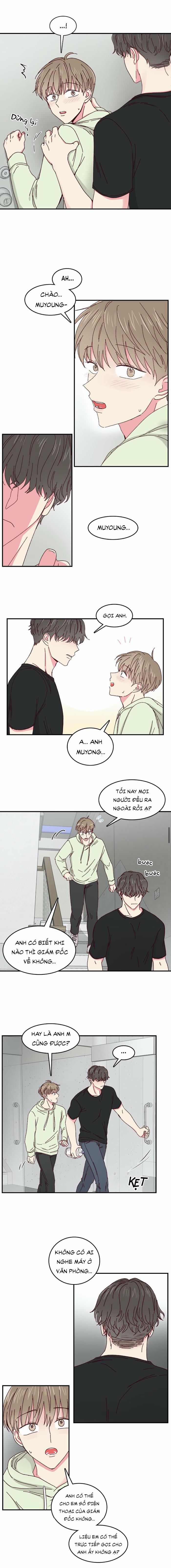 Món Tráng Miệng Của Sếp Tổng 22 trang 1