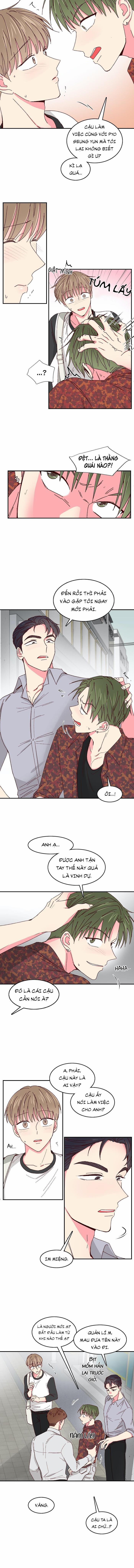 Món Tráng Miệng Của Sếp Tổng 31 trang 1