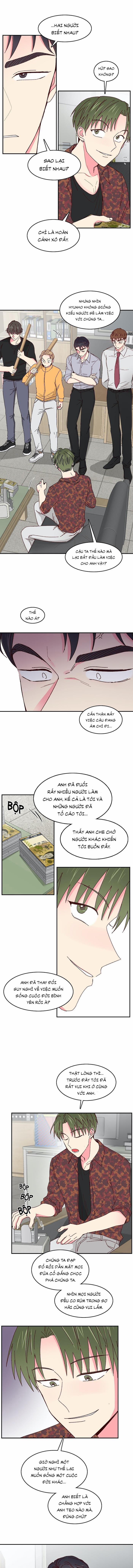 Món Tráng Miệng Của Sếp Tổng 31 trang 4