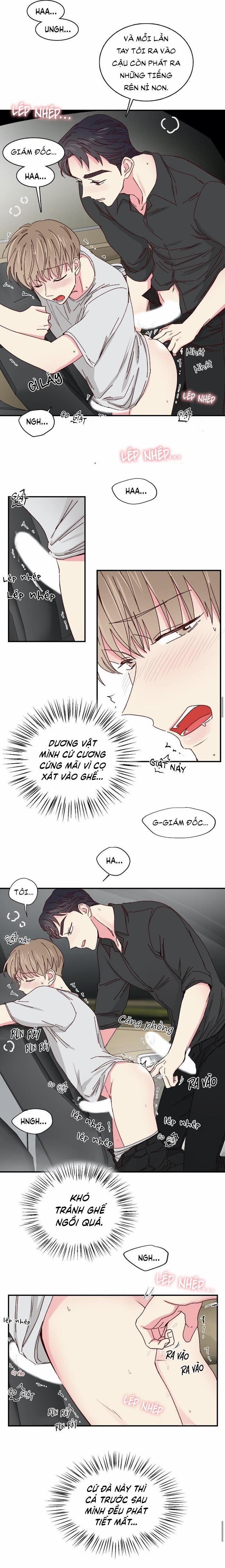 Món Tráng Miệng Của Sếp Tổng 34 trang 5