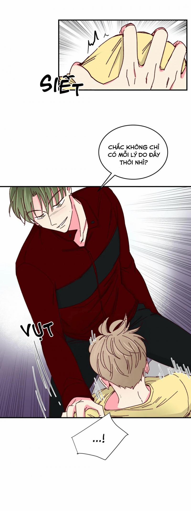 Món Tráng Miệng Của Sếp Tổng 38 trang 2