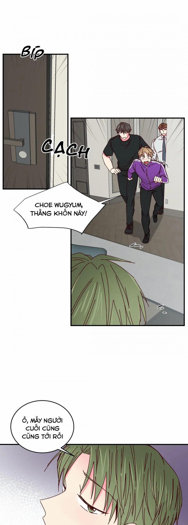 Món Tráng Miệng Của Sếp Tổng 38 trang 7