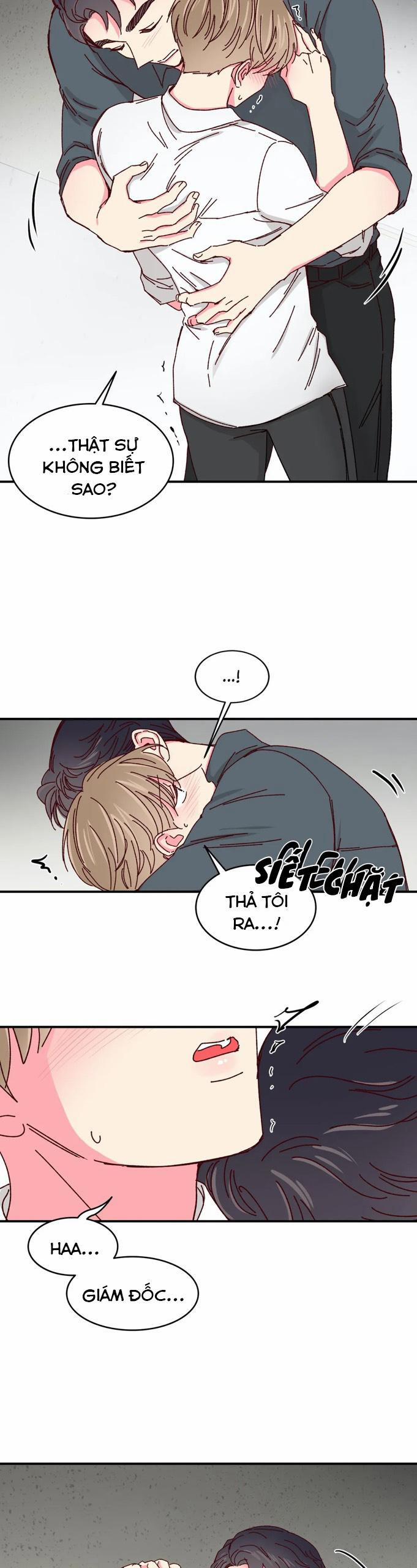 Món Tráng Miệng Của Sếp Tổng 39 trang 24