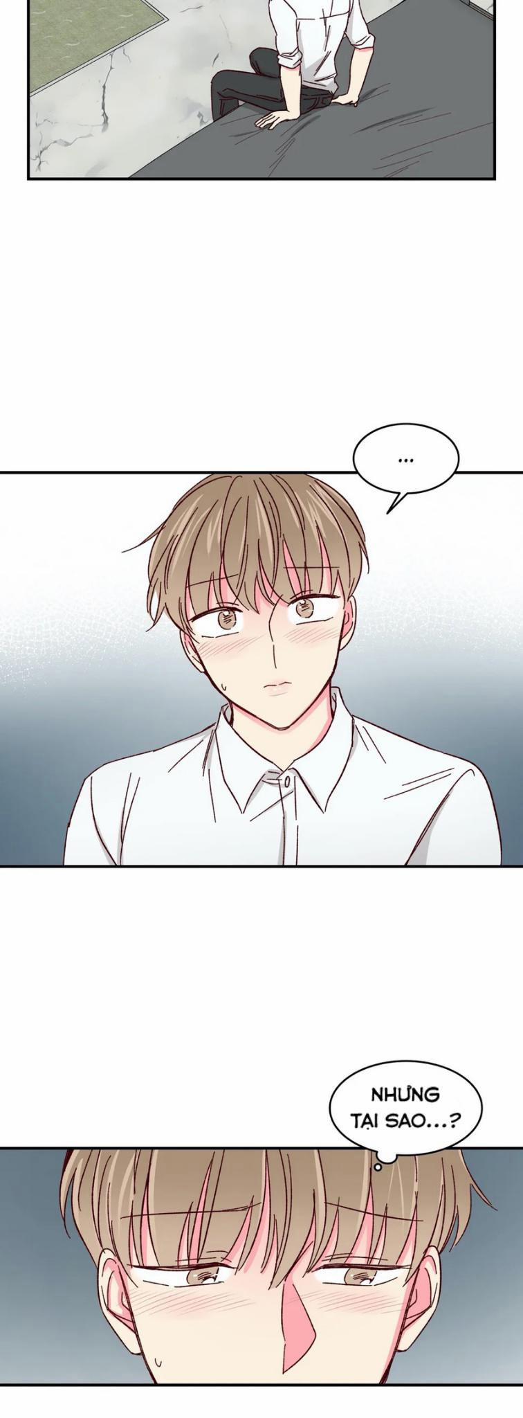 Món Tráng Miệng Của Sếp Tổng 40 trang 12