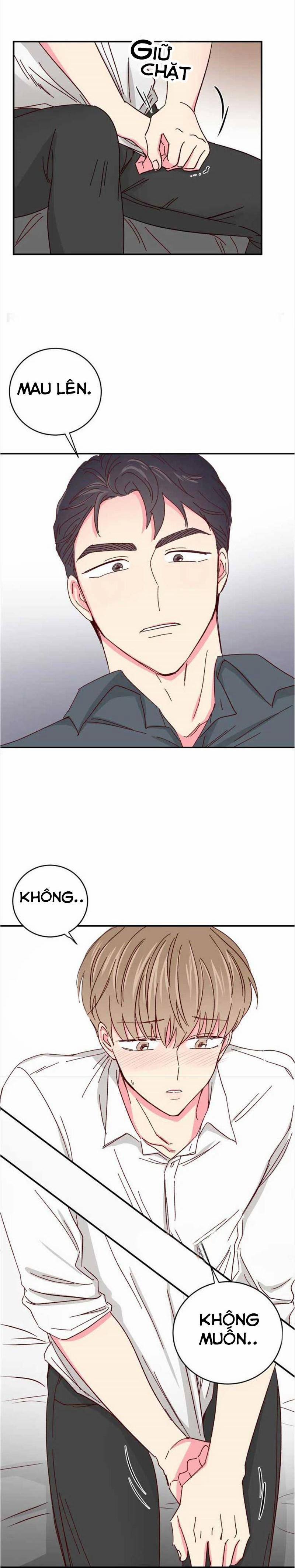 Món Tráng Miệng Của Sếp Tổng 41 trang 1