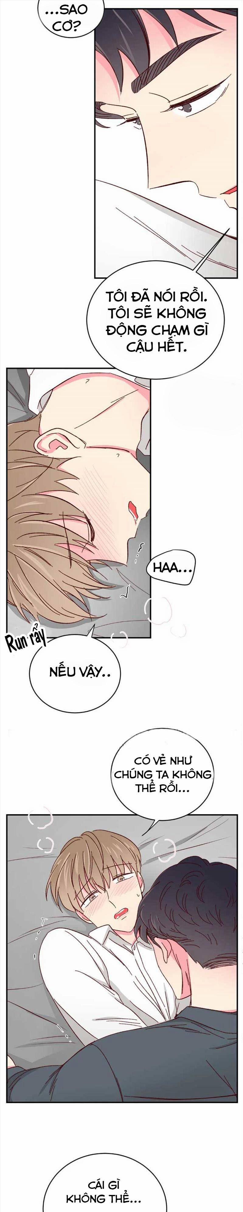 Món Tráng Miệng Của Sếp Tổng 41 trang 8