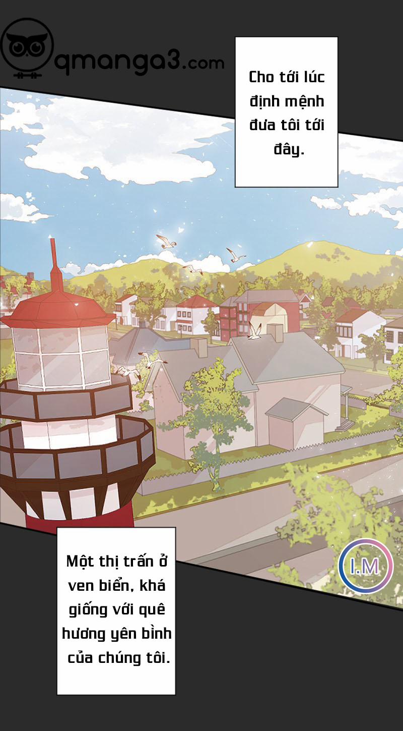 Mòng Biển 16 trang 13