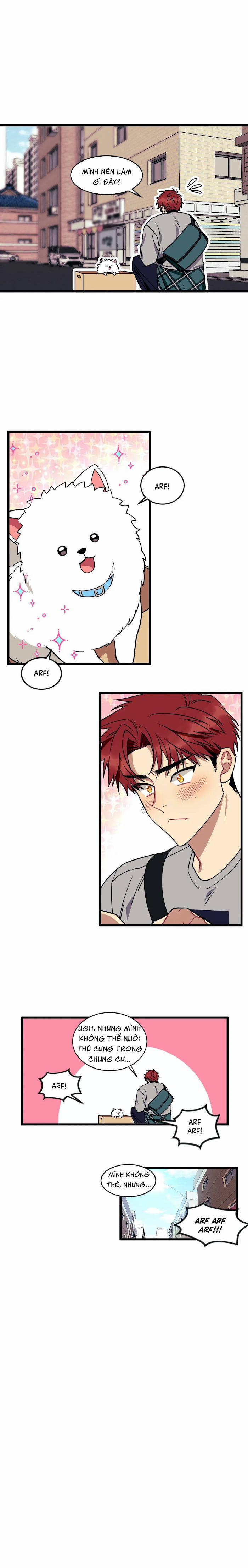 Mong Muốn Của Bạn Là Mệnh Lệnh Với Tôi 11 trang 16