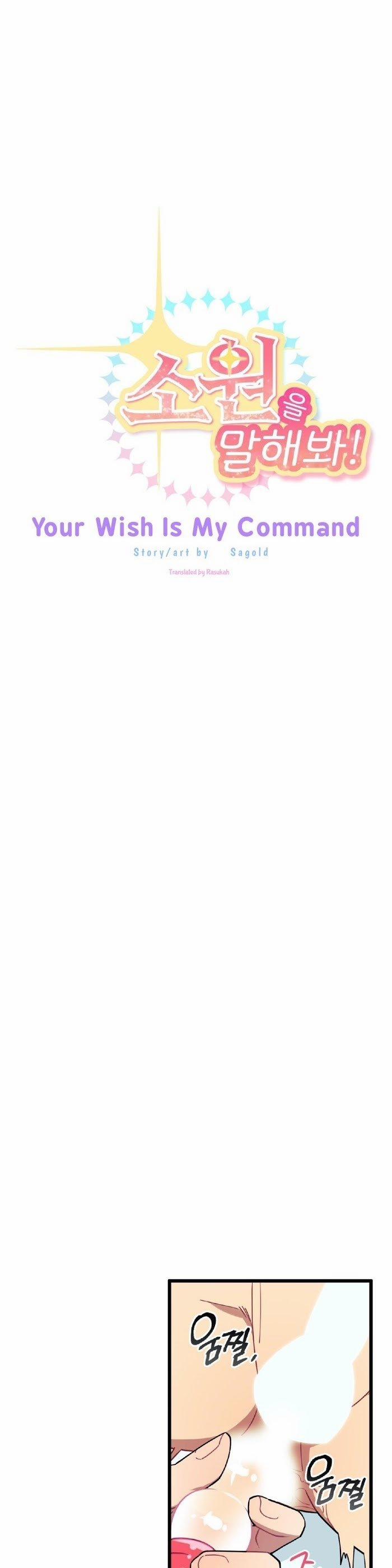 Mong Muốn Của Bạn Là Mệnh Lệnh Với Tôi 8 trang 13