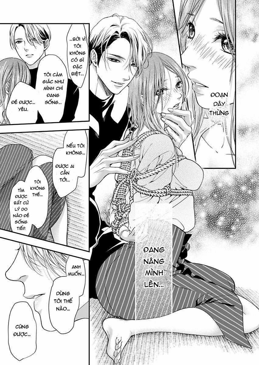 Mộng Ước Trên Những Trang Giấy 15.2 trang 0