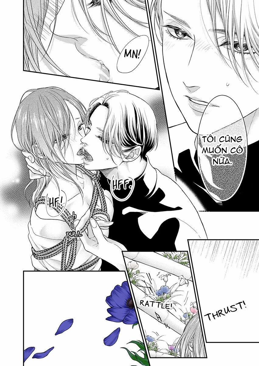 Mộng Ước Trên Những Trang Giấy 16.2 trang 0