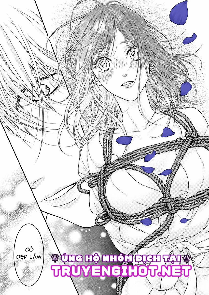 Mộng Ước Trên Những Trang Giấy 16.2 trang 1