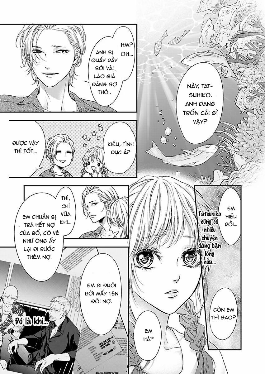 Mộng Ước Trên Những Trang Giấy 19.2 trang 0