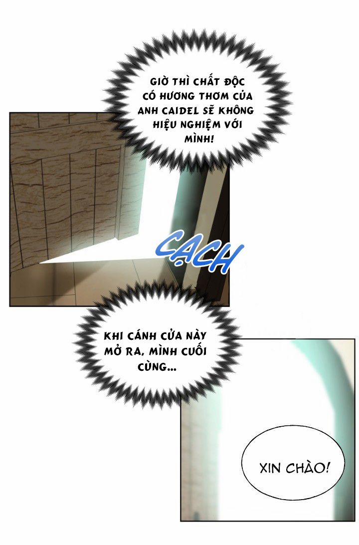 Mong Ước Tuyệt Vọng Của Một Phù Thủy 17 trang 37