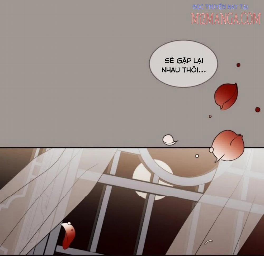 Mong Ước Tuyệt Vọng Của Một Phù Thủy 25.5 trang 13