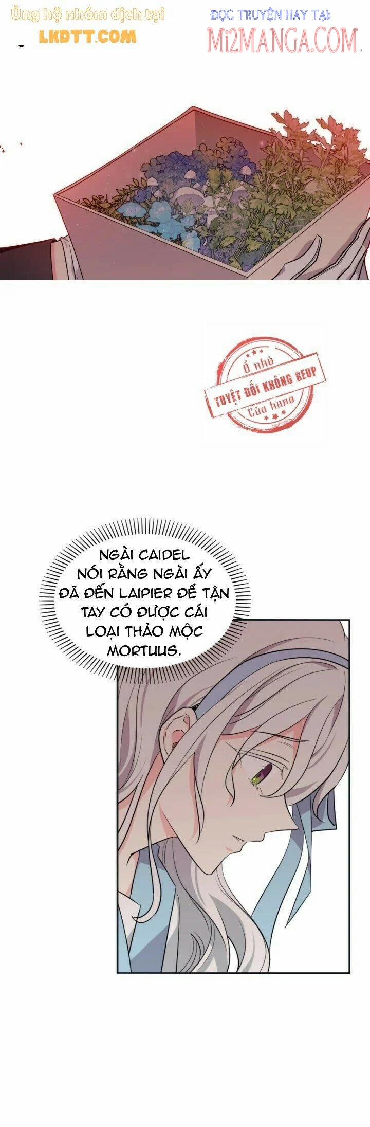 Mong Ước Tuyệt Vọng Của Một Phù Thủy 35 trang 5