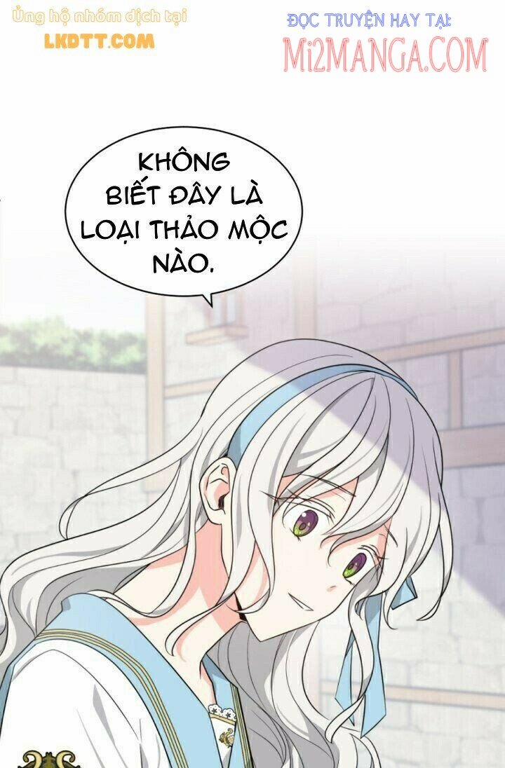 Mong Ước Tuyệt Vọng Của Một Phù Thủy 35 trang 8