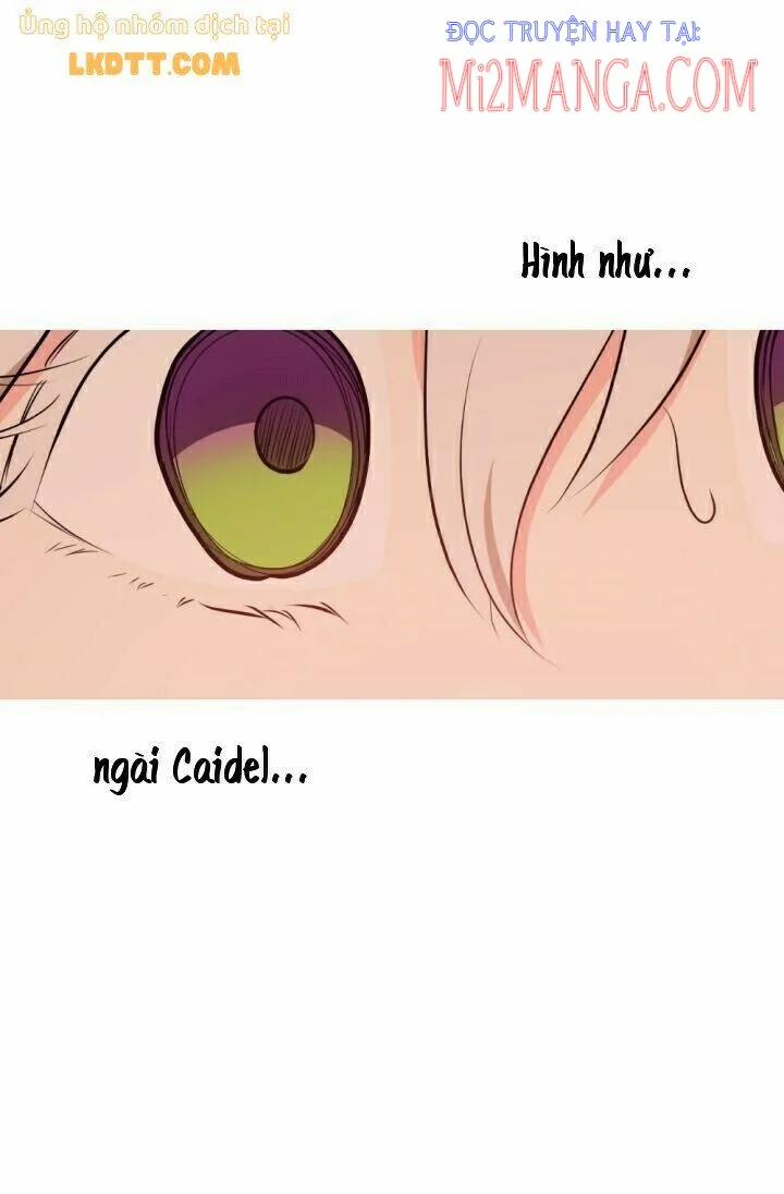 Mong Ước Tuyệt Vọng Của Một Phù Thủy 36 trang 11