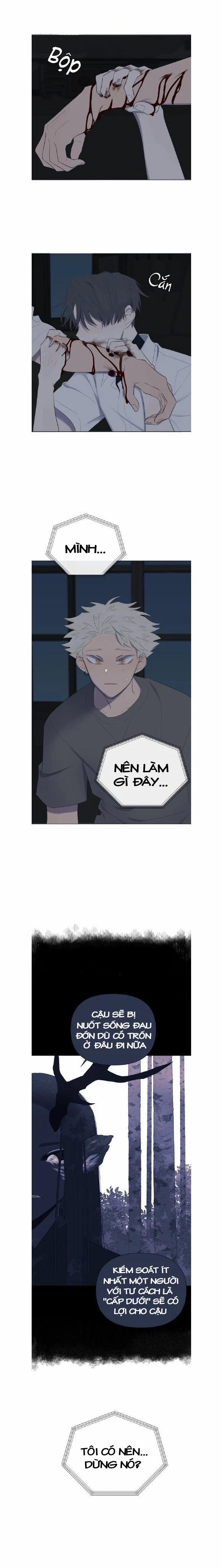 Moonchild 10 trang 12