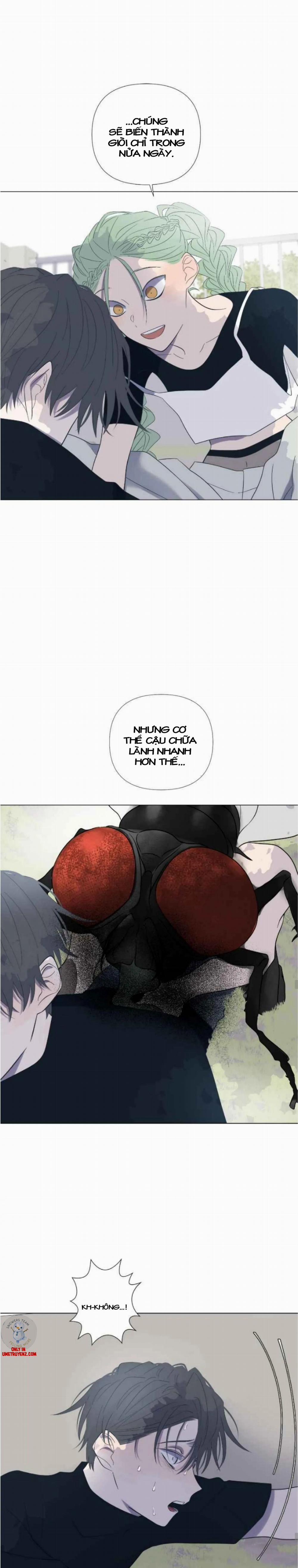 Moonchild 24 trang 15