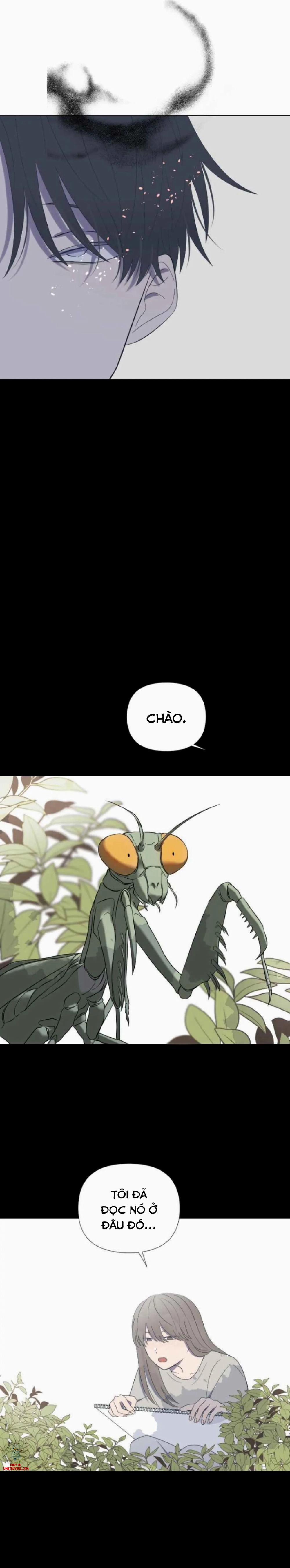 Moonchild 28 trang 20