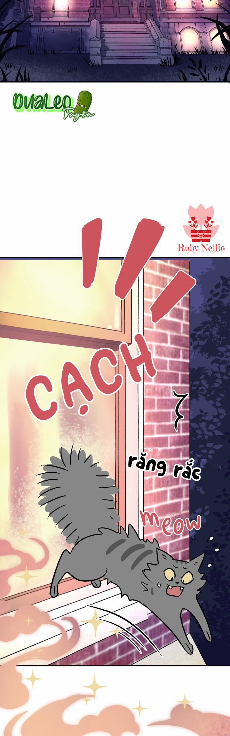 Morgana and Oz 1 trang 1