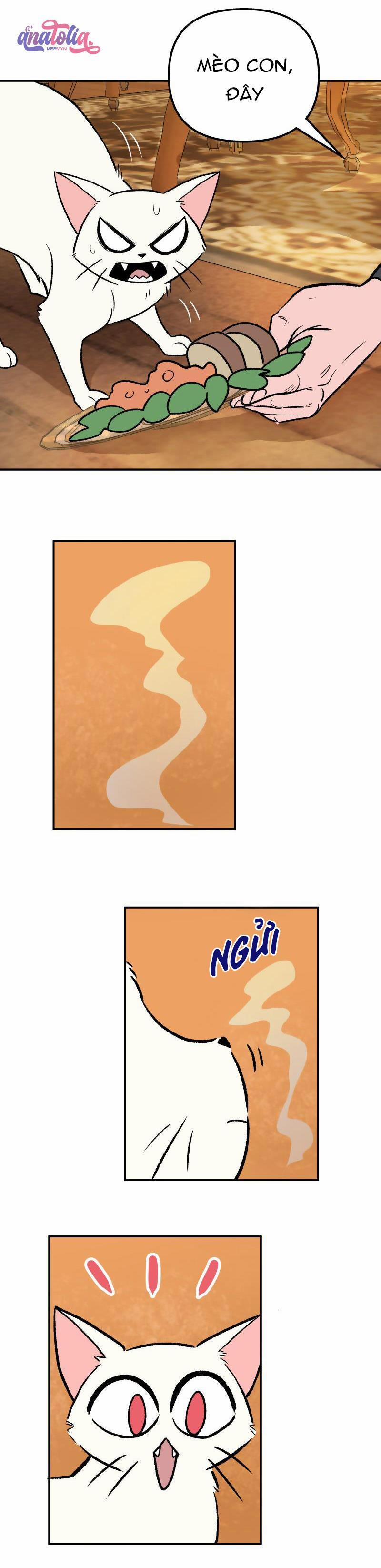 Morgana and Oz 10 trang 5