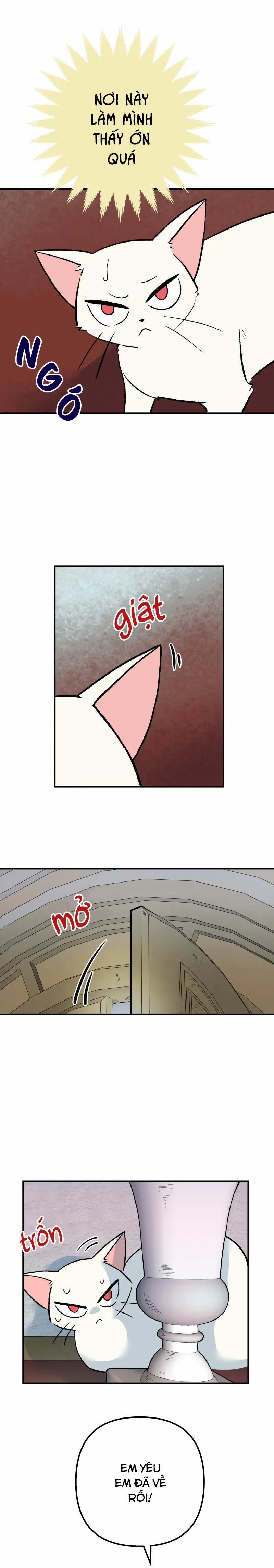 Morgana and Oz 12 trang 1