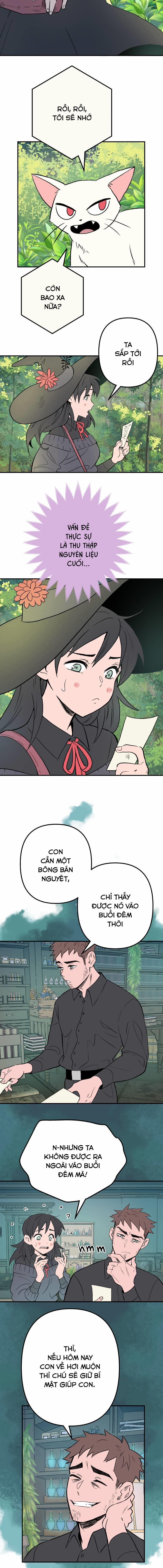 Morgana and Oz 13 trang 8