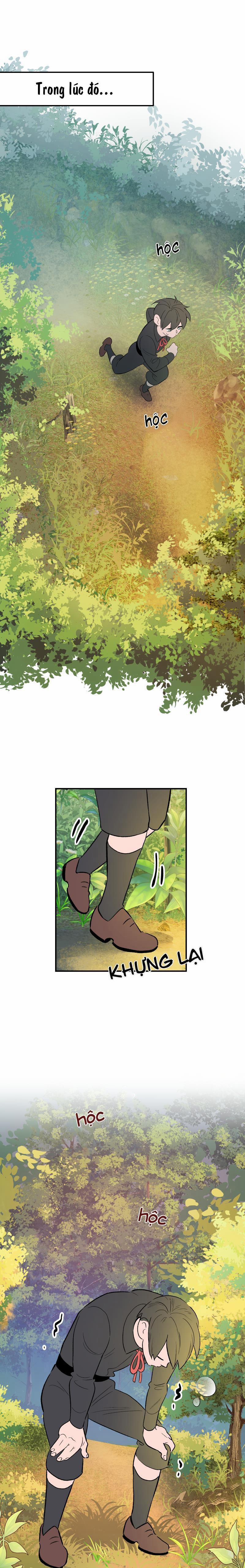 Morgana and Oz 27 trang 0