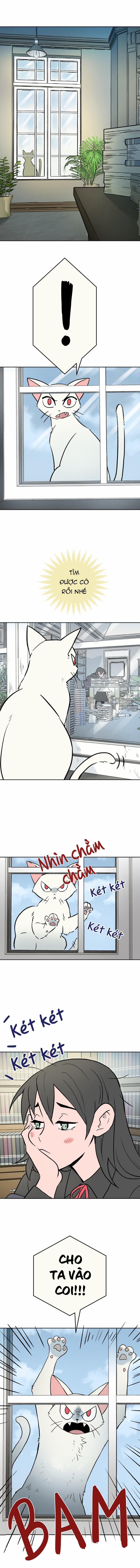 Morgana and Oz 6 trang 1