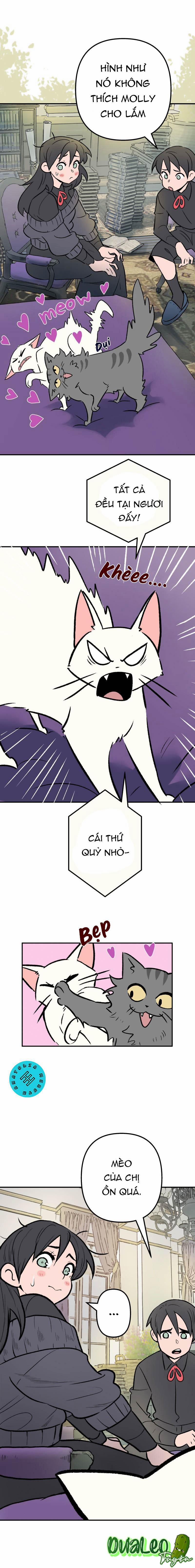 Morgana and Oz 8 trang 0