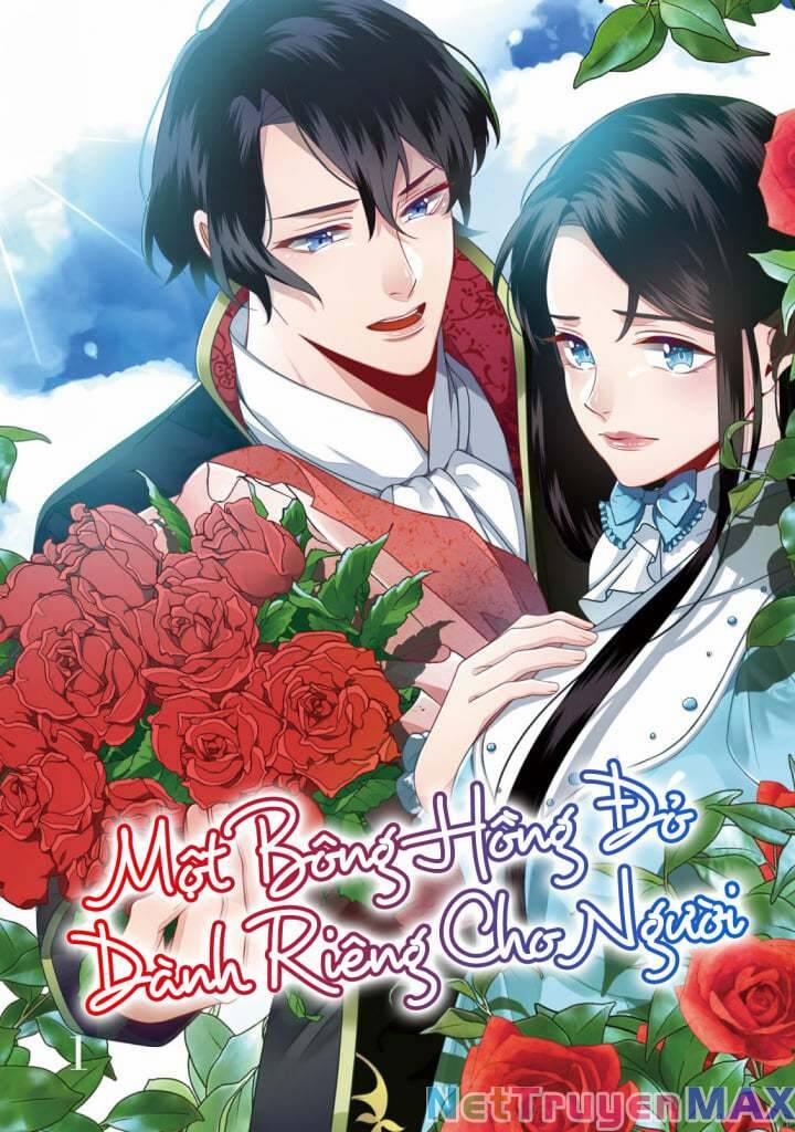 Một Bông Hồng Đỏ Dành Riêng Cho Người 11 trang 0