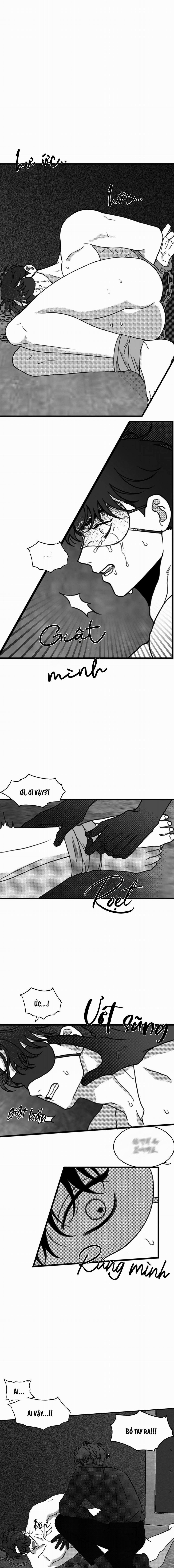 Một Chút Điên Dại 12 trang 0